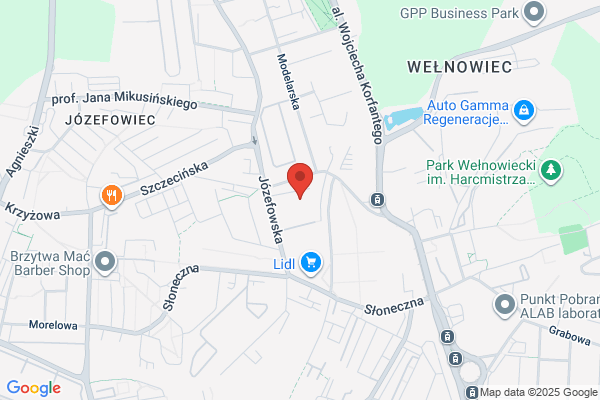 Trocha Helmut. Pracownia kowalstwa artystycznego, metaloplastyki, obrazów