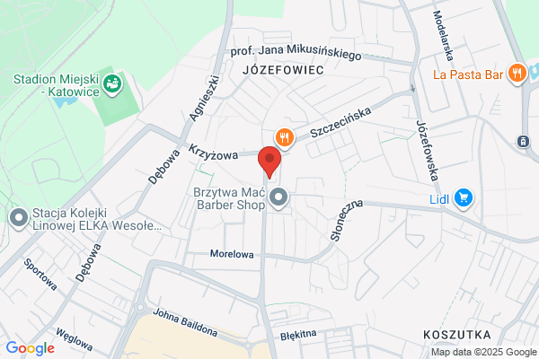 Silesia. Apartamenty