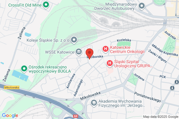 Dantom. ZPHU. Producent odziezy damskiej i mlodziezowej