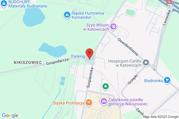 Zielinski, Wycislik. Parking samochodowy. S.j.