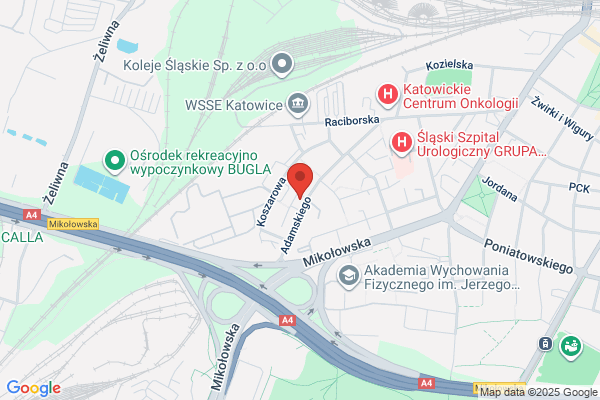 Sikorska Aleksandra, artysta plastyk