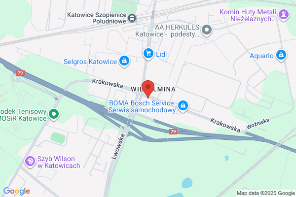 Wózki widlowe. Dystrybucja i sprzedaz czesci. Filipiak M.