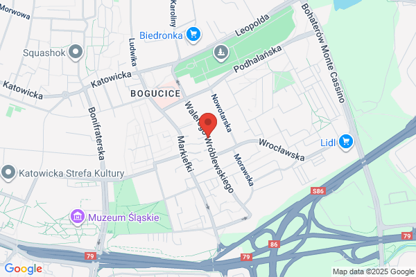 W Bogucicach