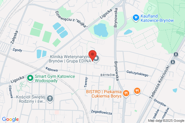Metrona Polska Pomiary i Rozliczenia. Sp. z o.o. Oddzial w Katowicach