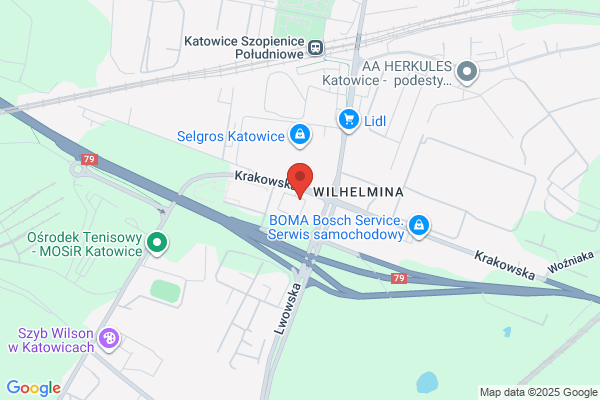 Arka. Dom dla bezdomnych