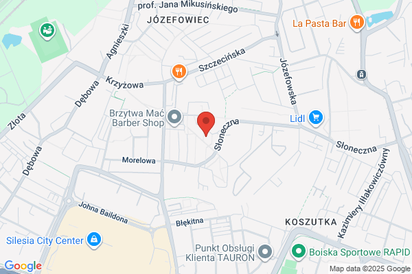 Wowro Waldemar. Prace wysokosciowe