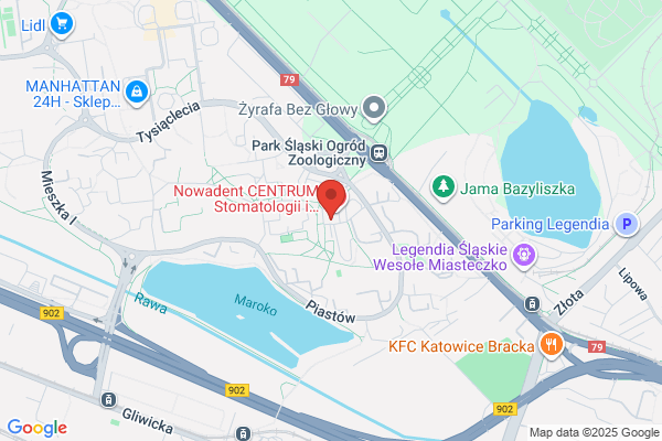 Zahntechnik-Labor. Pracownia protetyki stomatologicznej. Glab P.