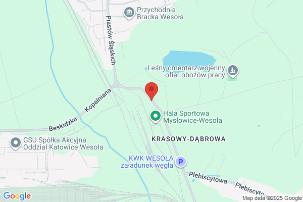 Osrodek Badan Psychologicznych. Sp. z o.o. Spólka szkoleniowa