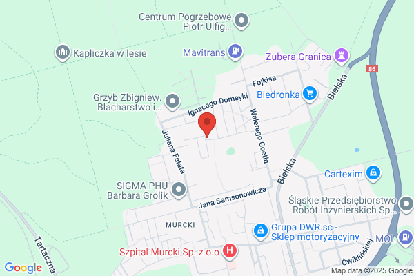 Salsa. Pub. Milewski W.