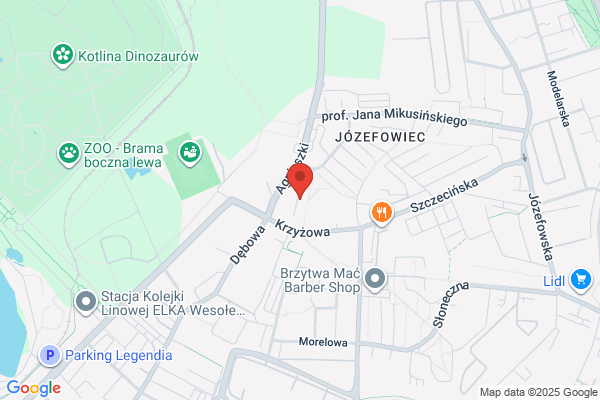 Paliczka Tadeusz. Doradca podatkowy. Biuro rachunkowe