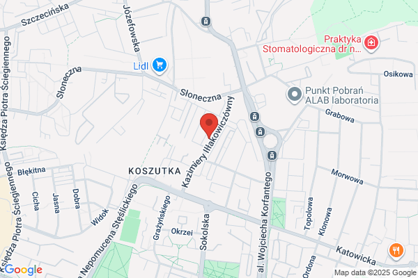Koj Benedykt, mgr inz. Biegly sadowy ds. instalacji elektrycznych i porazen pradem