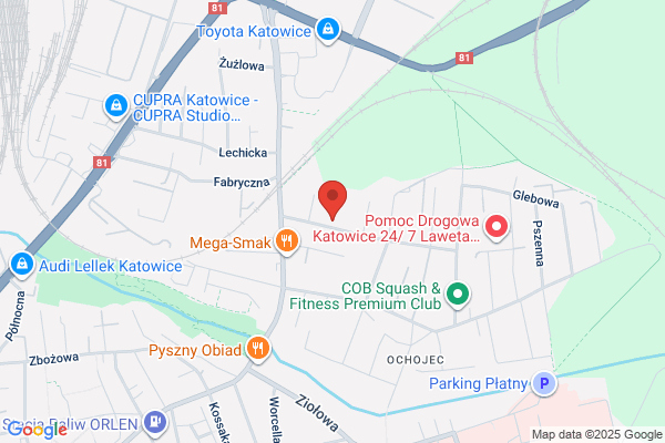 Kus Antoni. Autoblacharstwo