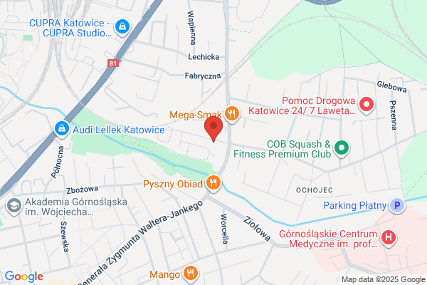 Kopi Auto Gaz Serwis SC