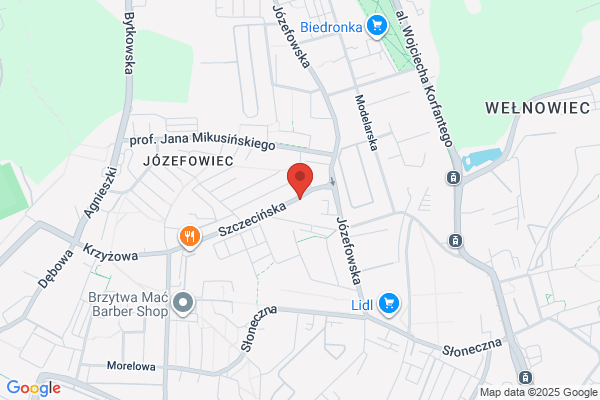 Kaczmarska Maria. Automyjnia