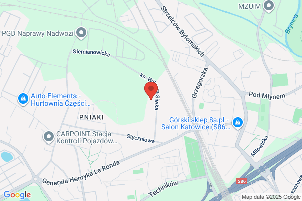 Góral Tomasz. Autohandel