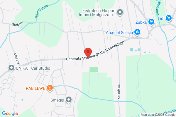 Ford Sławek