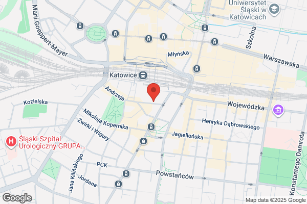 Amazonka. Sklep zoologiczny