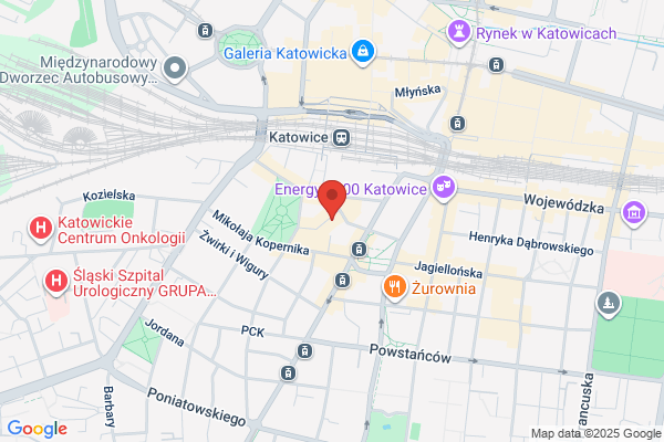Slaski Zwiazek Bokserski