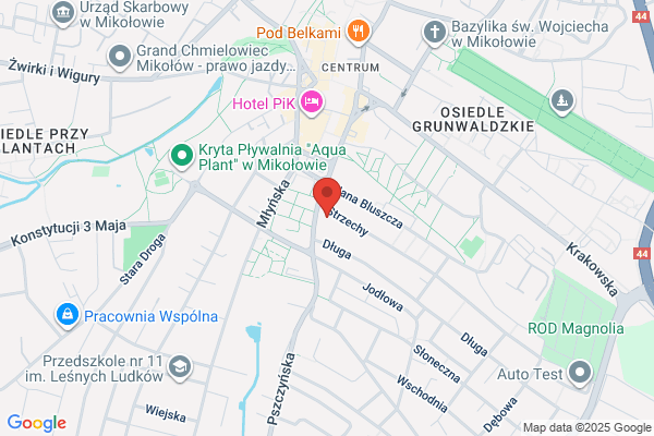 Spoleczne Ognisko Muzyczne
