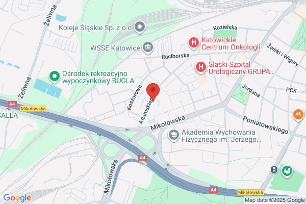 Szkola Podstawowa nr 15