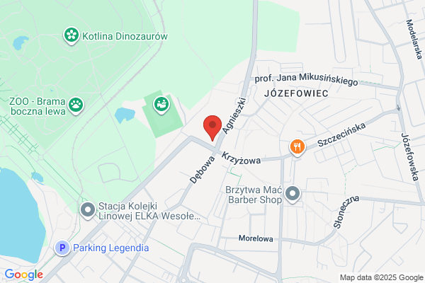 Szkola Podstawowa nr 19 im. S. Francioszka