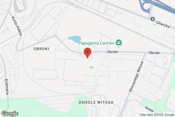 Liceum Ogólnoksztalcace nr XV Zespolu Szkól Zawodowych i Ogólnoksztalcacych nr 5