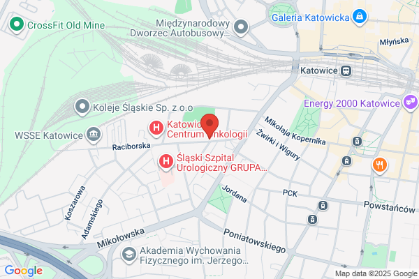 Technikum nr 2 Zespolu Szkól Ekonomicznych im. W. Korfantego