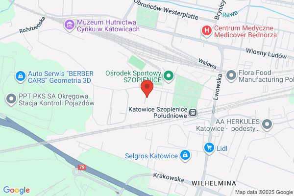 Zasadnicza Szkola Zawodowa Zespolu Szkól Hutniczo - Mechanicznych