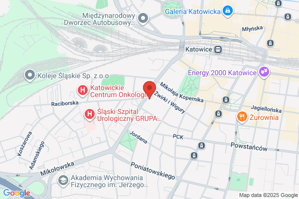 Kosubek Katarzyna, Henryk. Studio tanca