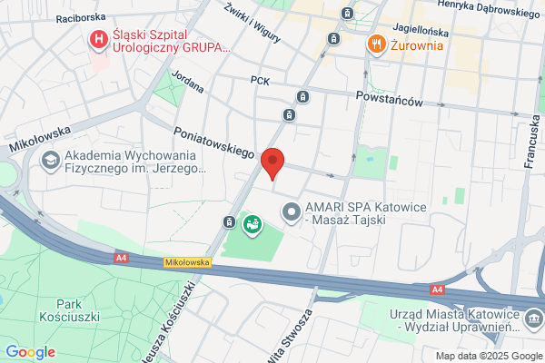 M-Link. Lyniewska M.