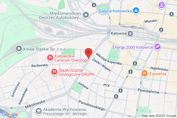 Miedzy Slowami. Pinkowska N.