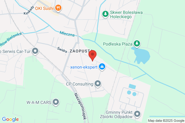 Ciborowski Tadeusz. Uslugi transportowe