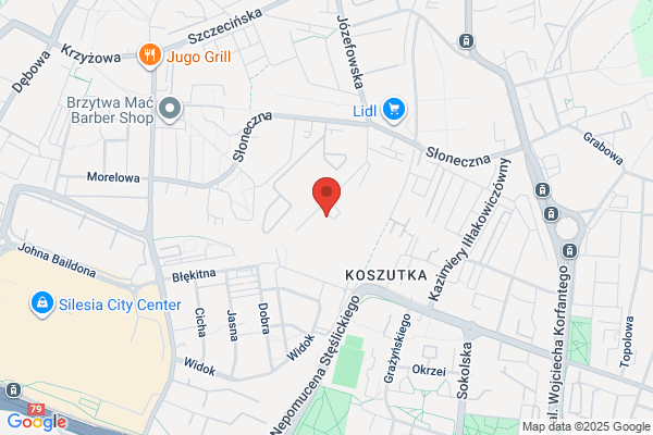 Maciejczyk Edward. Uslugi transportowe, przewóz materialów niebezpiecznychfax: