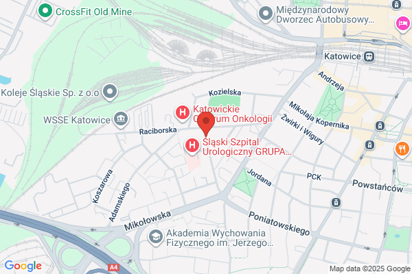 Robotrans. Transport krajowy i miedzynarodowy
