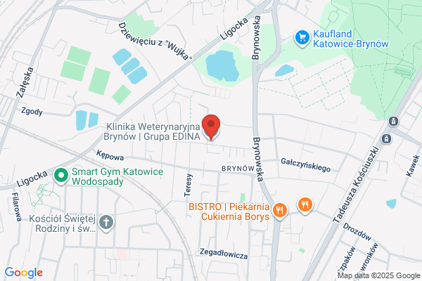 Brynów. Klinika weterynaryjna. Czogala K.