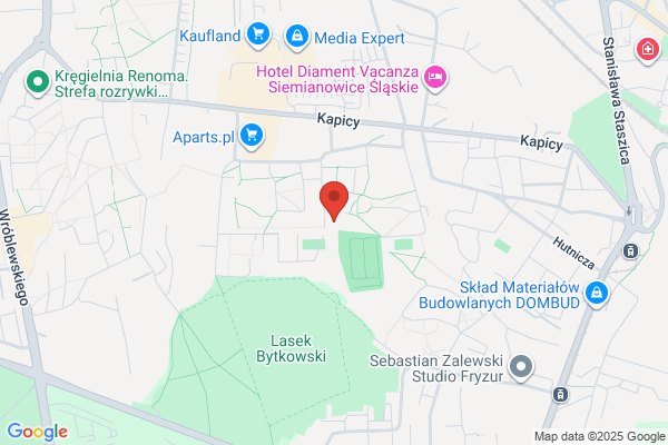 Provet SC. Kliniczne Centrum Leczenia Malych Zwierzat. Skiba-Aleksiewicz K., Aleksiewicz J.