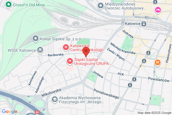 Para. Agencja artystyczna. Dyrszka Z.