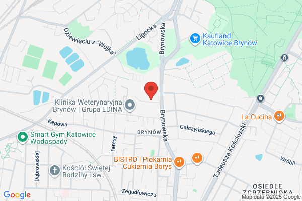 Bobik SC. Grazyna i Boguslaw Widera