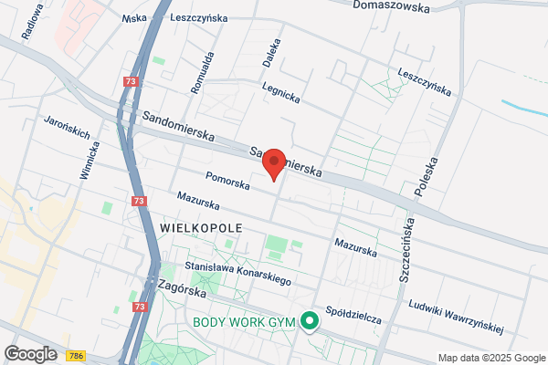 Kamyk. Placówka Opiekunczo - Wychowawcza nr 1 im. A. Kaminskiego