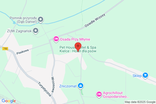 Psi Relaks - hotel dla psów i kotów