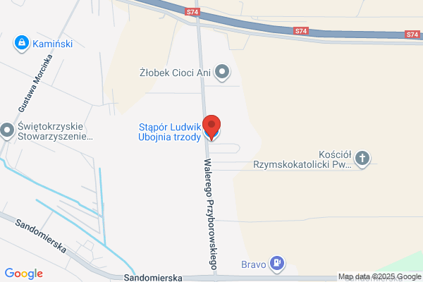 Stapór Ludwik A. Ubojnia bydla i trzody