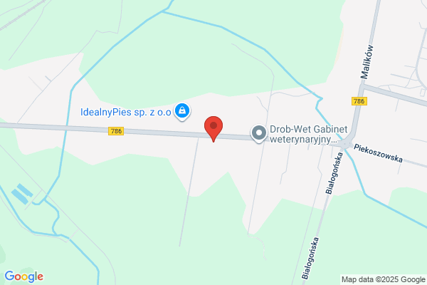 Hurt kwiatów sztucznych. Ogrodnictwo