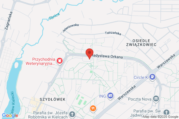 Parking strzezony