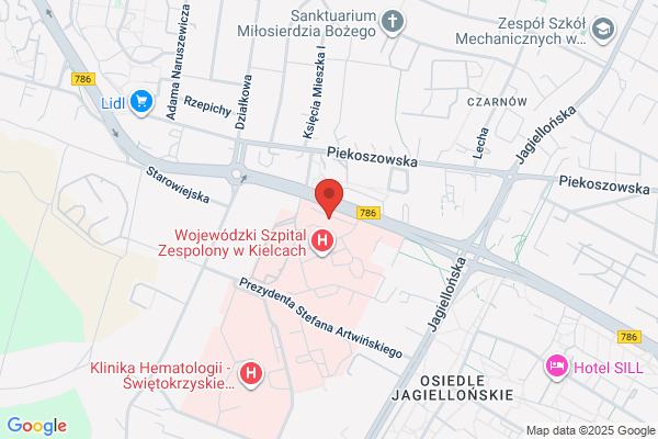 Parking strzezony