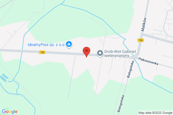 Fodder. Wyposazenie ferm drobiarskich. Sprzedaz pasz i koncentratów