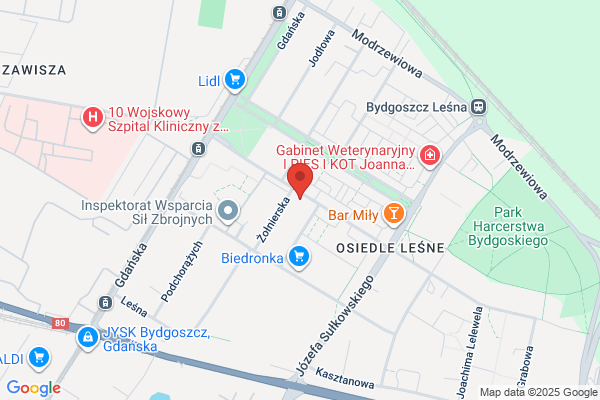 Wojewódzki Szkolny Zwiazek Sportowy