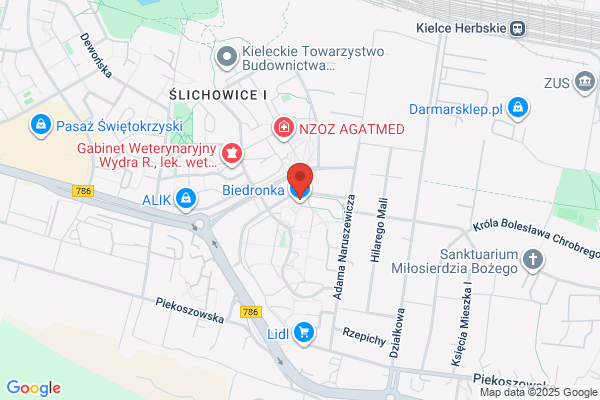 Biedronka. Dyskont spozywczy