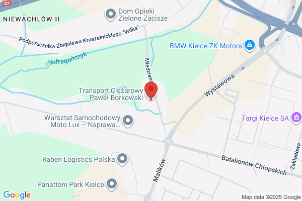 Borkowski Przemyslaw. Krajowy transport ciezarowy i autobusowy