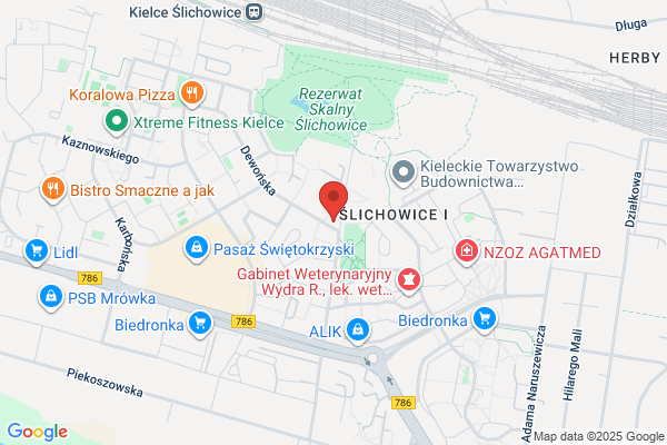 Panda. Gabinet weterynaryjny. Szymanski J., Rygal J., Moskwa M.