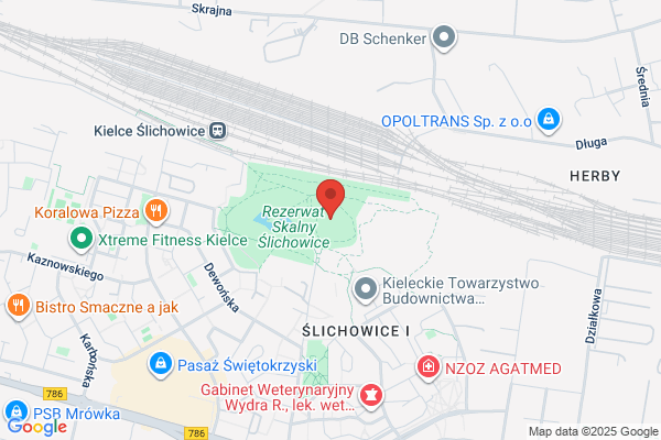 Gora. Chachulska M.